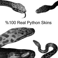 KOD: REAL PYTHON SKINS